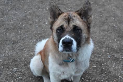 Sammie