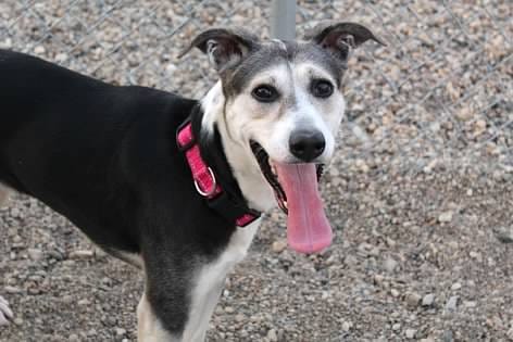Lola